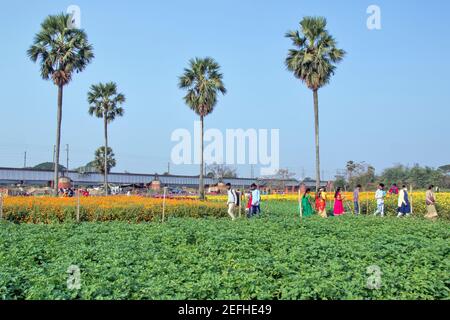 floral landscape and visitor at medinipore west bengal india Stock Photo