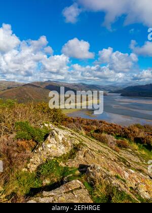 Upland landscape above the Mawddach Estuary near Barmouth in Gwynedd North West Wales UK close to the popular Panorama Walk with Snowdonia in distance Stock Photo