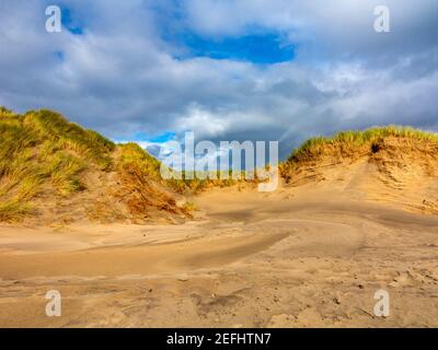 Sand dunes on the beach at Morfa Dyffryn between Barmouth and Harlech in Gwynedd on the north west coast of Wales with blue sky and clouds above. Stock Photo