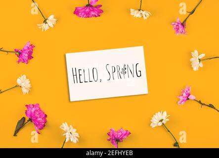 Hello Spring text inscription, creative mockup with frame made of flowers on yellow background Stock Photo