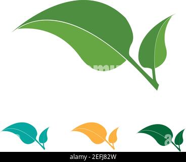 Logos of green Tree leaf ecology nature element vector Stock Vector