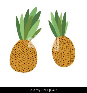 Citrus summer illustration with pineapples. Cartoon tropical colorful fruits isolated on white background. Ananas, pine. Food concept. Template design Stock Vector
