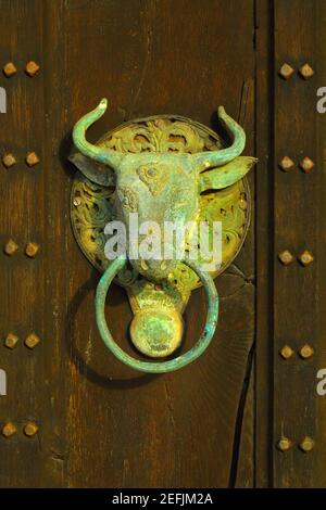 Antique cow door knocker on wooden door Stock Photo