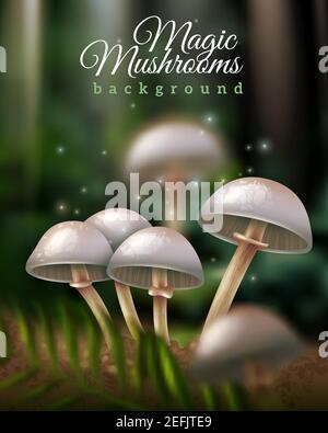 Magical Mushrooms, Mischievous Molds