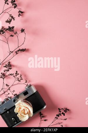 blank for decorating postcards or a gift certificate for a photographer. Old camera on a pink background with gray dried flowers and space for text