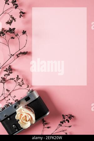 blank for decorating postcards or a gift certificate for a photographer. Old camera on a pink background with gray dried flowers and space for text