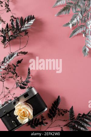blank for decorating postcards or a gift certificate for a photographer. Old camera on a pink background with gray dried flowers and space for text