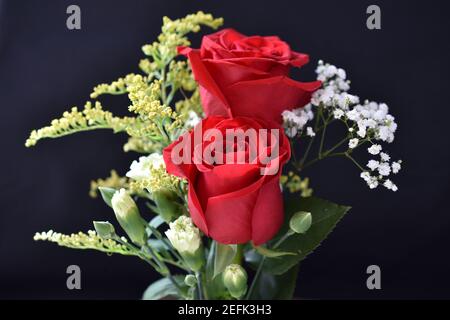 A variety of flowers, buds, and leaves in a colorful indoor arrangement with selective blurring  -01 Stock Photo