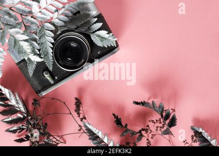 blank for decorating postcards or a gift certificate for a photographer. Old camera on a pink background with gray dried flowers and space for text