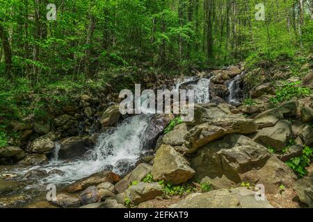 Small waterfall with water splashing and tumbling over the rocks and boulders in the forest on a bright sunny day in springtime Stock Photo