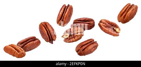 Pecan nuts isolated on white background with clipping path Stock Photo