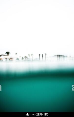 defocused palm trees seen from the sea, plane inside the water Stock Photo