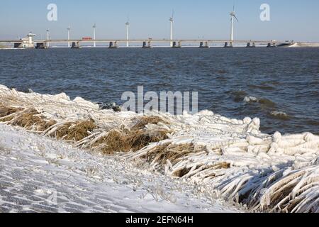 Dutch breakwater with basalt rocks and reed covered with ice Stock ...