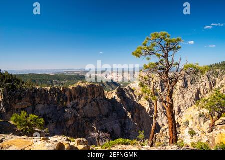 View from Hells Backbone Road, near Escalante and Boulder, Garfield County, Utah, USA, on a beautiful summer day. Stock Photo