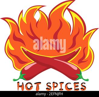 logo hot spices of two peppers on a fire background 2 Stock Vector