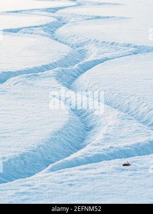 Bright snow  traces of ice skating blades on an ice. Frozen mountain lake covered snow and ice skaters make nice curved lines behing ice skates. Stock Photo