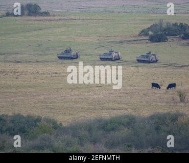 British Army Warrior light infantry fighting vehicle battle tank FV 510 with two Mechanized Repair Vehicle FV 512 in a demonstration of firepower, Sal Stock Photo