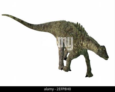 Ampelosaurus was an armored sauropod herbivorous dinosaur that lived in Europe during the Cretaceous Period. Stock Photo