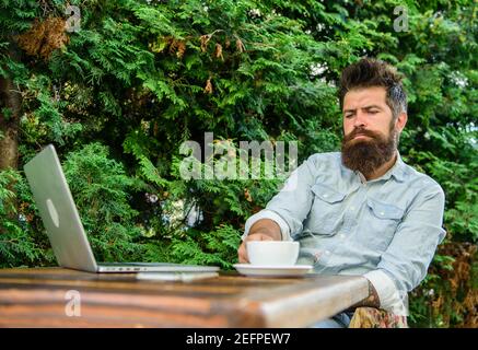 Man bearded hipster make pause for drink coffee and think while sit with laptop. Guy drinks coffee relaxing terrace green branches background. Pleasant moment. Take moment to think. Break to relax. Stock Photo