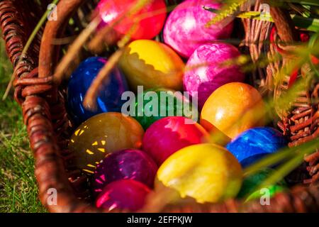 Close-up of Easter eggs in various colors in wicker basket on sunny April morning (springtime). Egg hunt German Easter season holiday tradition. Stock Photo