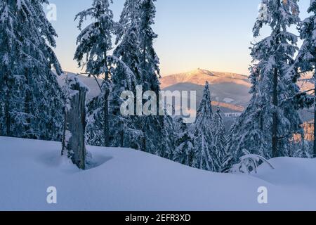 Sunset from the top of the mountain in Carpathian range. Landscape with winter forest and lots of snow. Glowing sky in the golden hour in Beskid Stock Photo