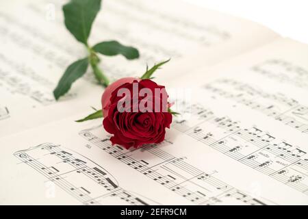 A single red rose placed on an opened book of sheet music Stock Photo