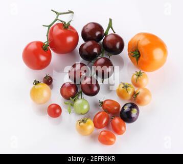Organic heirloom tomatoes of a variety of sizes and colors, from purple Indigo Rose to red and yellow cherry tomatoes still life isolated on white bac Stock Photo