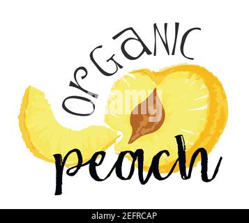 Peach fruit label and sticker - Organic Peach. Vector illustration in watercolor style, for graphic and web design Stock Vector
