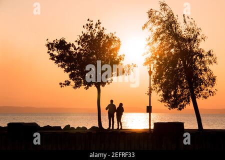 Romantic couple idea of evening walk near water, silhouettes of couple in love standing between two trees and admiring sunset landscape of setting sun Stock Photo