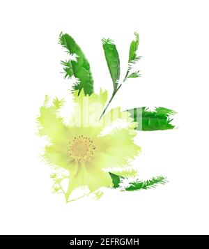 Abstract floral composition of yellow Cosmos flower and green plant leaves isolated on white background. Artistic nature double exposure image. Stock Photo