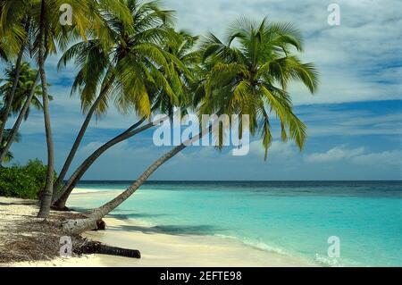 Kuda Bandos - Maldives 1987 (Photo on photographic film) Stock Photo