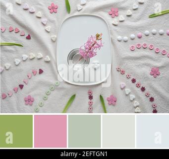 Color matching palette from image of Springtime background. Pink pearl hyacinth flower on ceramic plate. Flat lay with hearts, candy, buttons, small Stock Photo