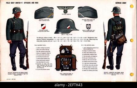 ONI JAN 1 Uniforms and Insignia Page 004 German Army WW2 Field gray uniforms officers and men. Field caps, national emblem, steel helmet, decals, equipment, tornister, infantry rifleman. June 1943 Field recognition. US public doc. No co. Stock Photo