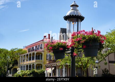 Gas Lamp With Red Potted Flowers on a Street, Cape May, New Jersey, USA Stock Photo