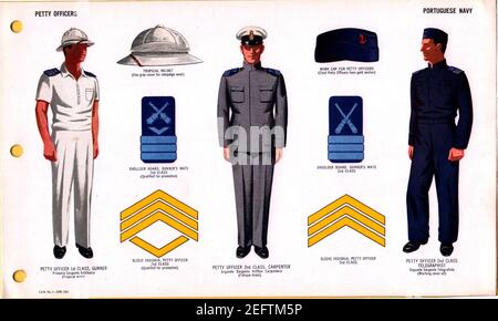 ONI JAN 1 Uniforms and Insignia Page 110 Portuguese Navy WW2 Petty officers June 1943 Field recognition. US public doc. . Stock Photo