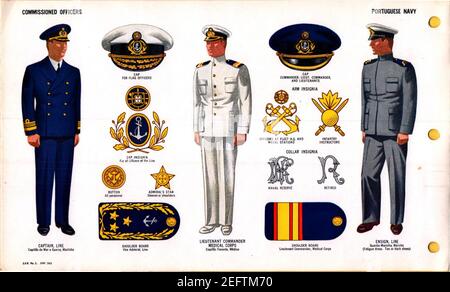 ONI JAN 1 Uniforms and Insignia Page 106 Portuguese Navy WW2 Commissioned officers June 1943 Field recognition. US public doc. . Stock Photo