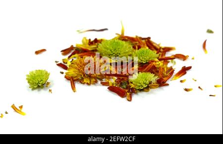 Multicolored petals scattered on a white background Stock Photo