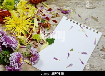 Valentine background, multicolored flowers and petals scattered on white rustic wood, top view with copy space. Happy lovers day mockup. Stock Photo