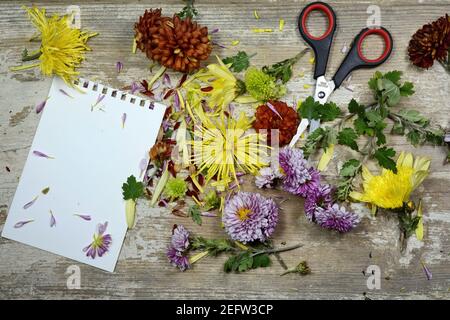 Valentine background, multicolored flowers and petals scattered on white rustic wood, top view with copy space. Happy lovers day mockup. Stock Photo