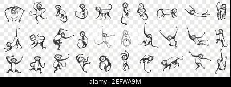 Monkeys enjoying life doodle set. Collection of hand drawn monkey animals primate playing hanging on branches and trees eating sleeping feeling happy for children isolated on transparent background Stock Vector
