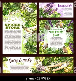 Herbs and spices store sketch posters and banners template. Vector design of chili pepper or ginger and parsley, lavender and peppermint or basil, ore Stock Vector