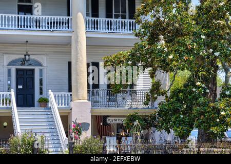 Southern Style House with a Magnolia Tree, Bay Street, Beaufort, South Carolina Stock Photo