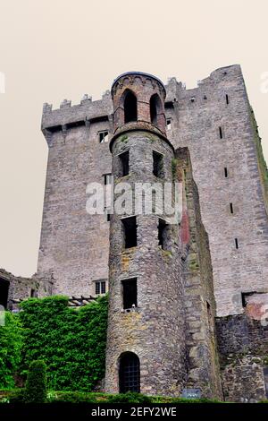 Blarney, County Cork, Ireland. Tower ruin and Blarney Castle The castle was built in 1446. Stock Photo