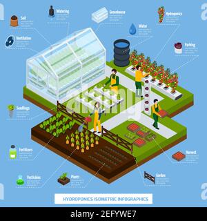 Hydroponics and aeroponics isometric infographic set with plants and farming symbols vector illustration Stock Vector