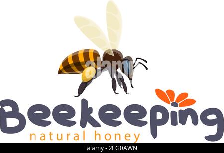 Honey beekeeping product icon design for honey label of bee and flower. Vector flat honey bee pollinating blossom for jar or apiary and beekeeping ind Stock Vector