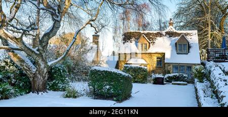 Cotswold stone cottage and silver birch tree in the January snow. Snowshill, Cotswolds, Gloucestershire, England Stock Photo