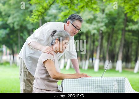 Happy old couple use computer to surf the Internet  Stock Photo