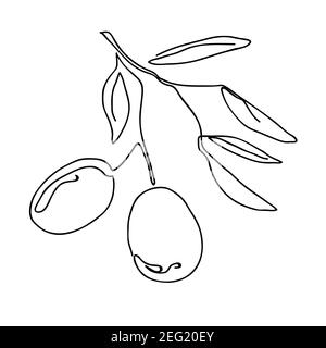 Single continuous line drawing of organic olive fruit brunch. Modern one line draw design graphic vector illustration Stock Vector