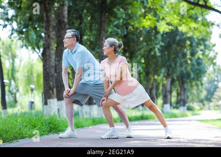 Old couple doing exercising in the park Stock Photo