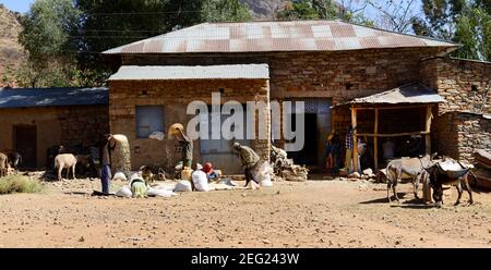 Tigrayan people processing maze outside a milling station in the Tigray region of northern Ethiopia. Stock Photo